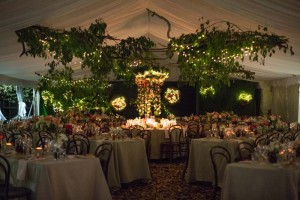 Enchanted Forest Wedding