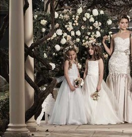 Amarige Bridal Sydney Bridesmaid Gowns