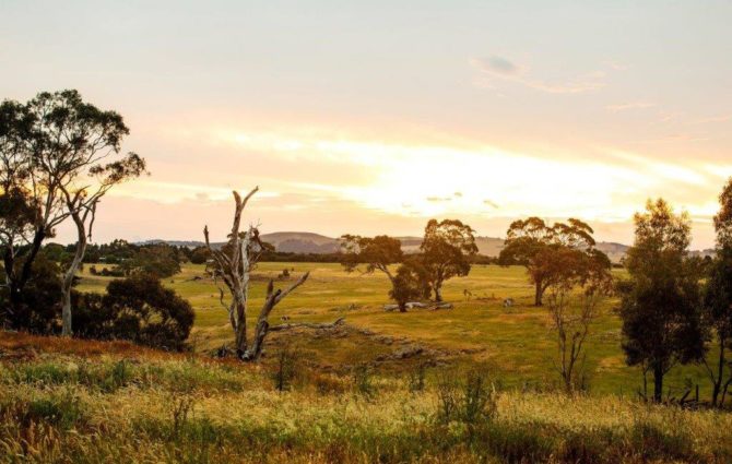 Lancemore Macedon Ranges - Modern Wedding